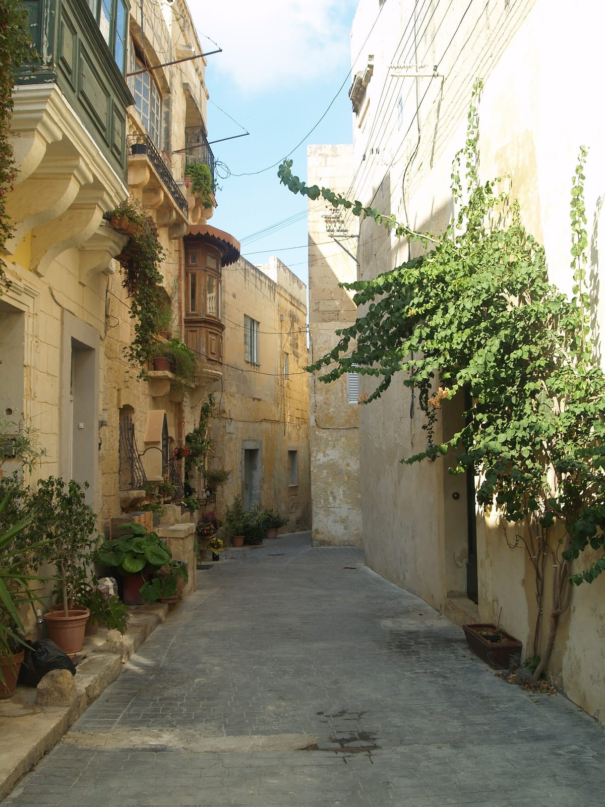 Boqqa Cafe photo 3