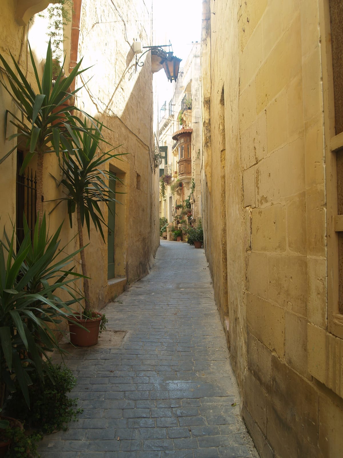 Boqqa Cafe photo 2