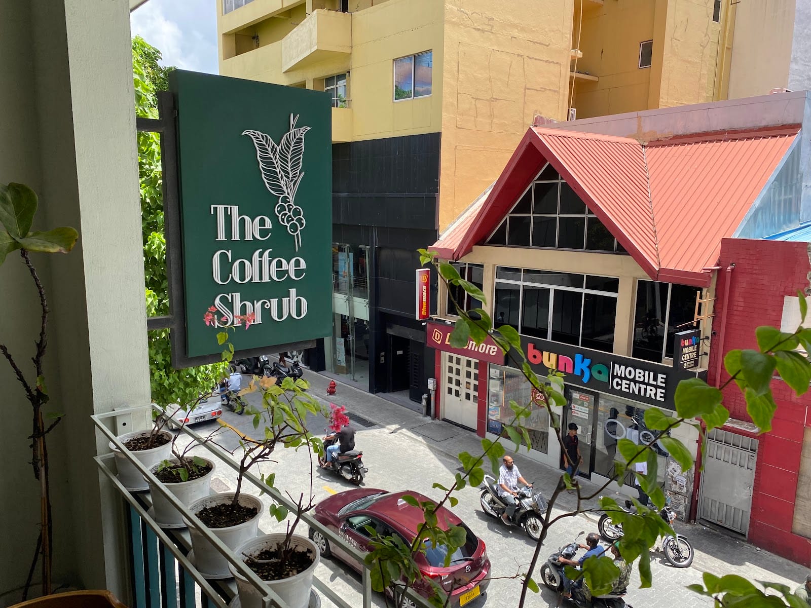 The coffee shrub