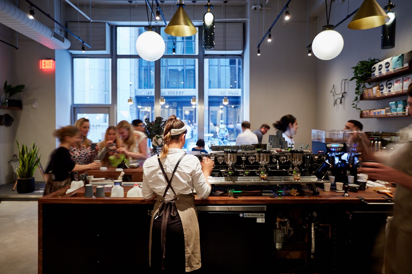 Black Fox coffee co.