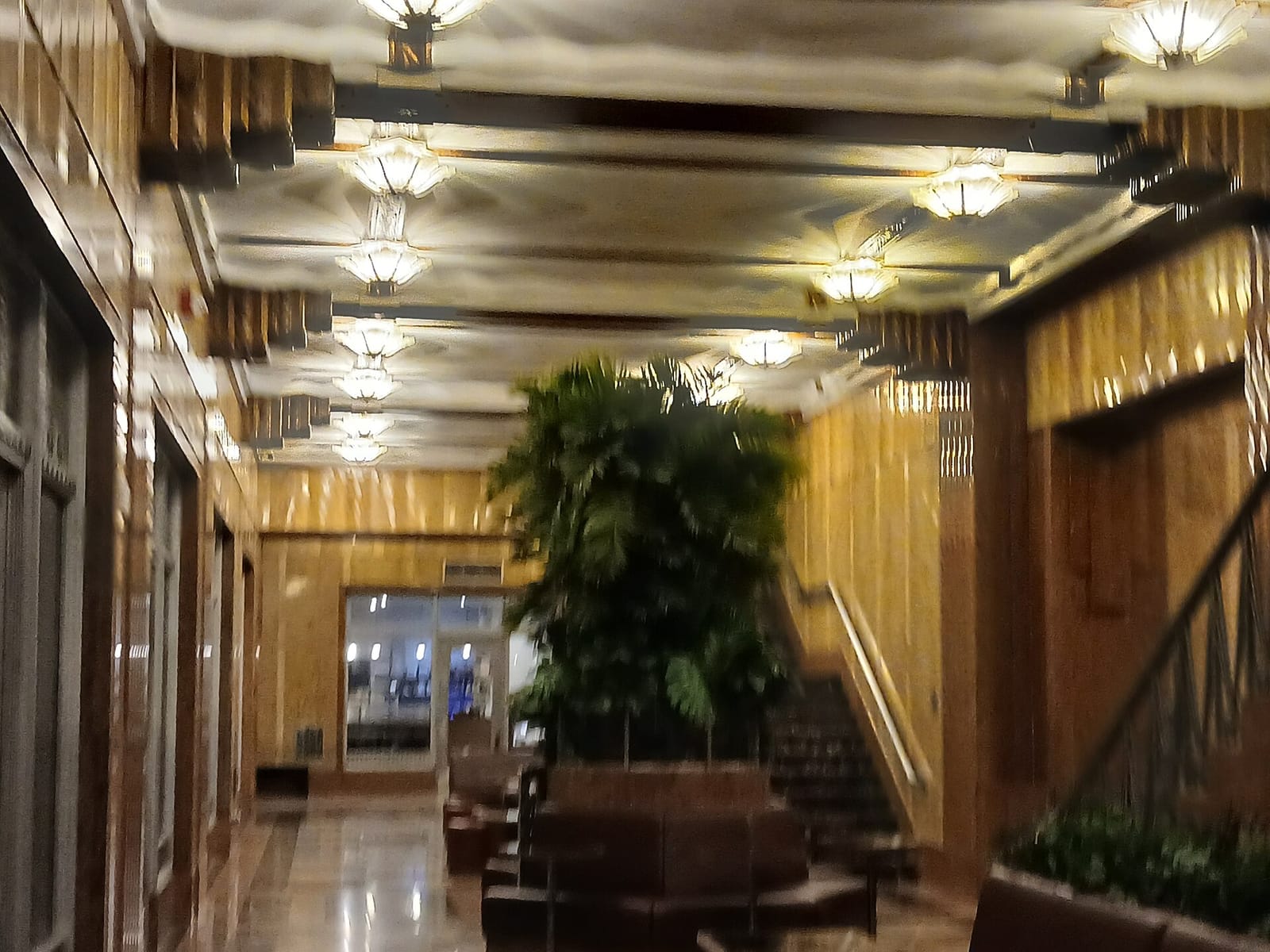 Black Fox coffee co. photo 2