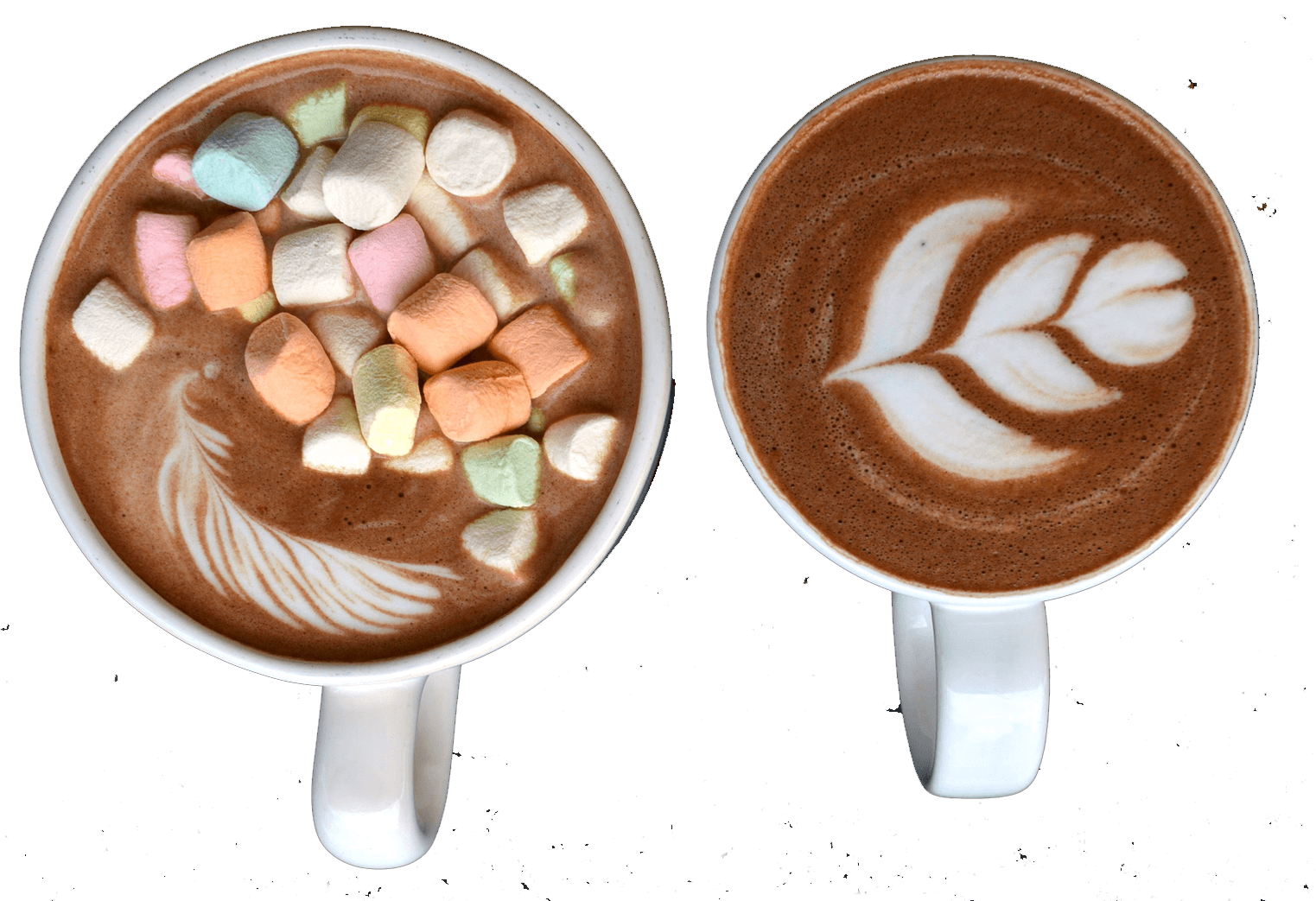 Chai photo 4