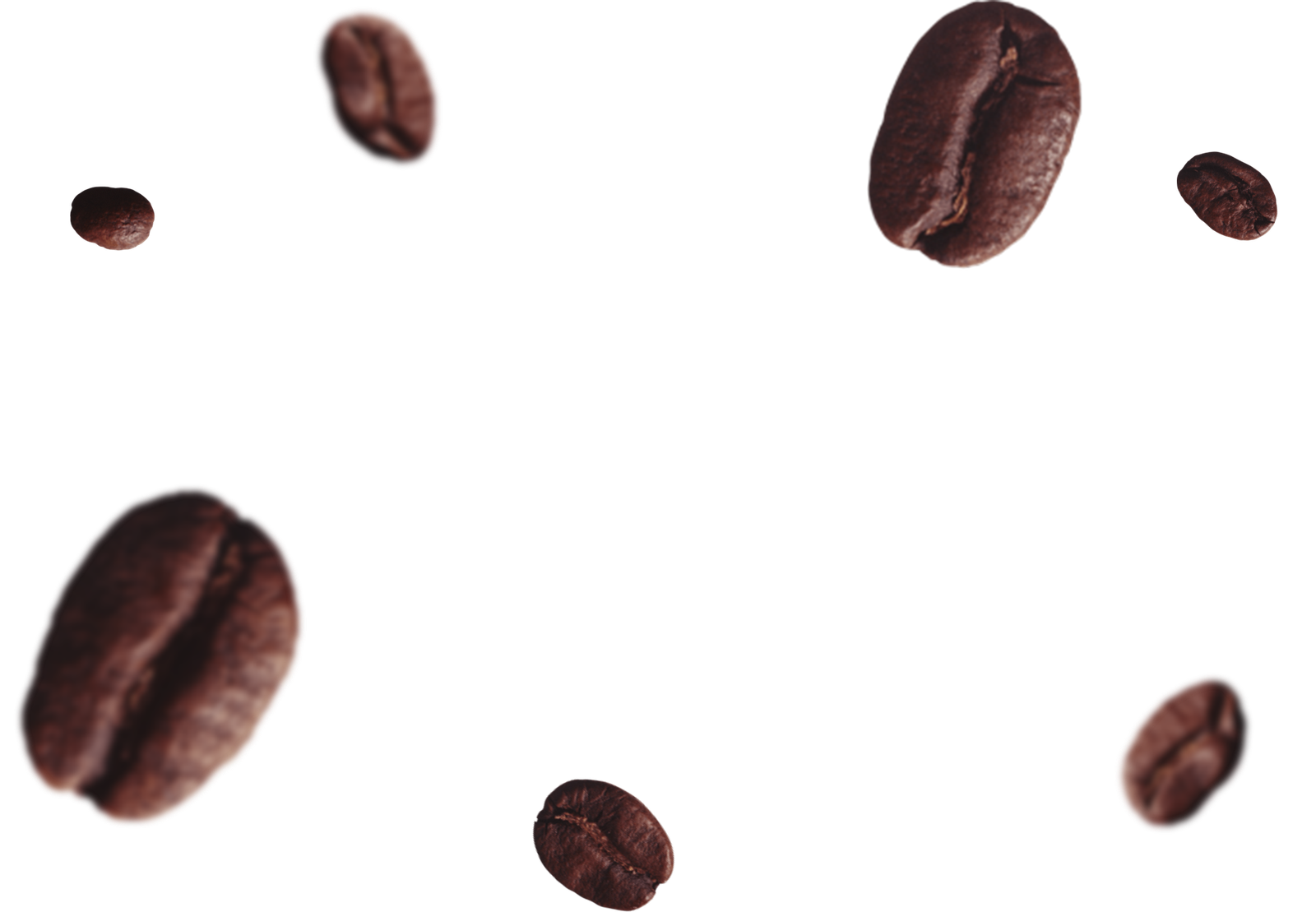 Baristi photo 3