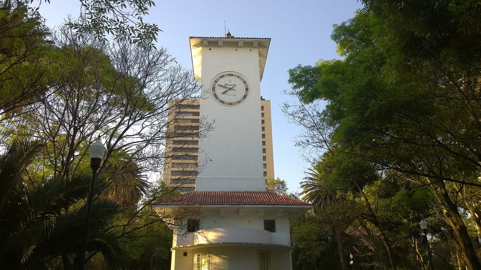 Café del Parque photo 2