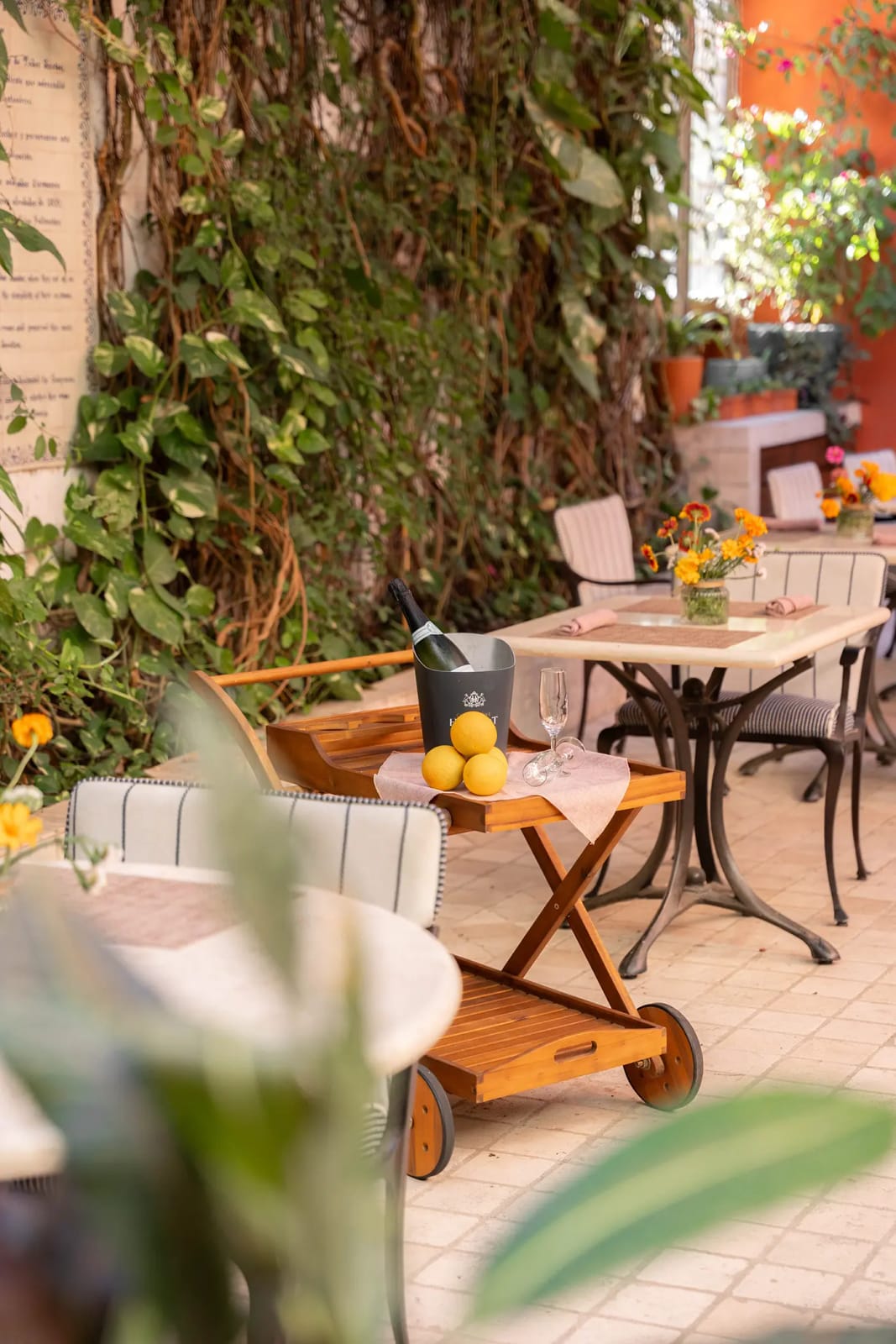 El Jardín Café at Guaycura Hotel photo 8