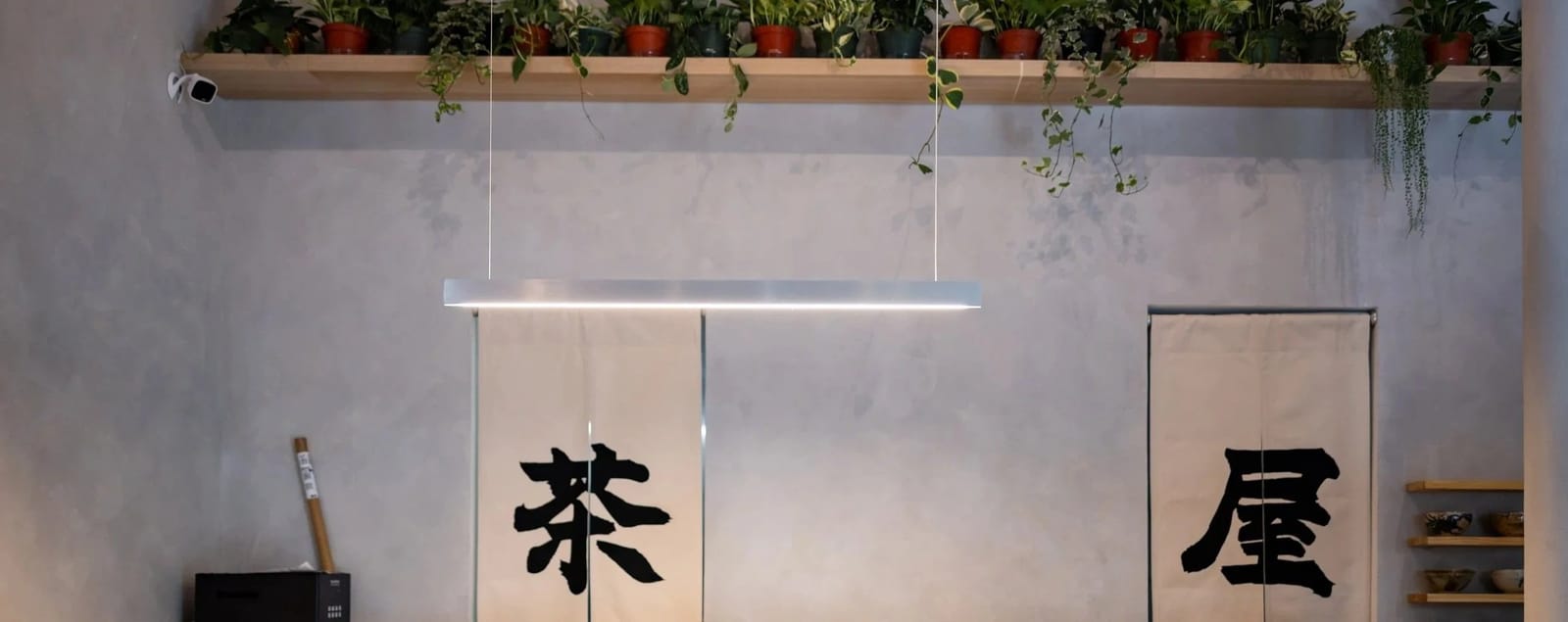 Matcha House photo 2