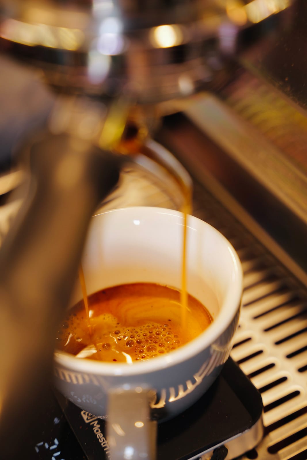 Chiquitito Café photo 3