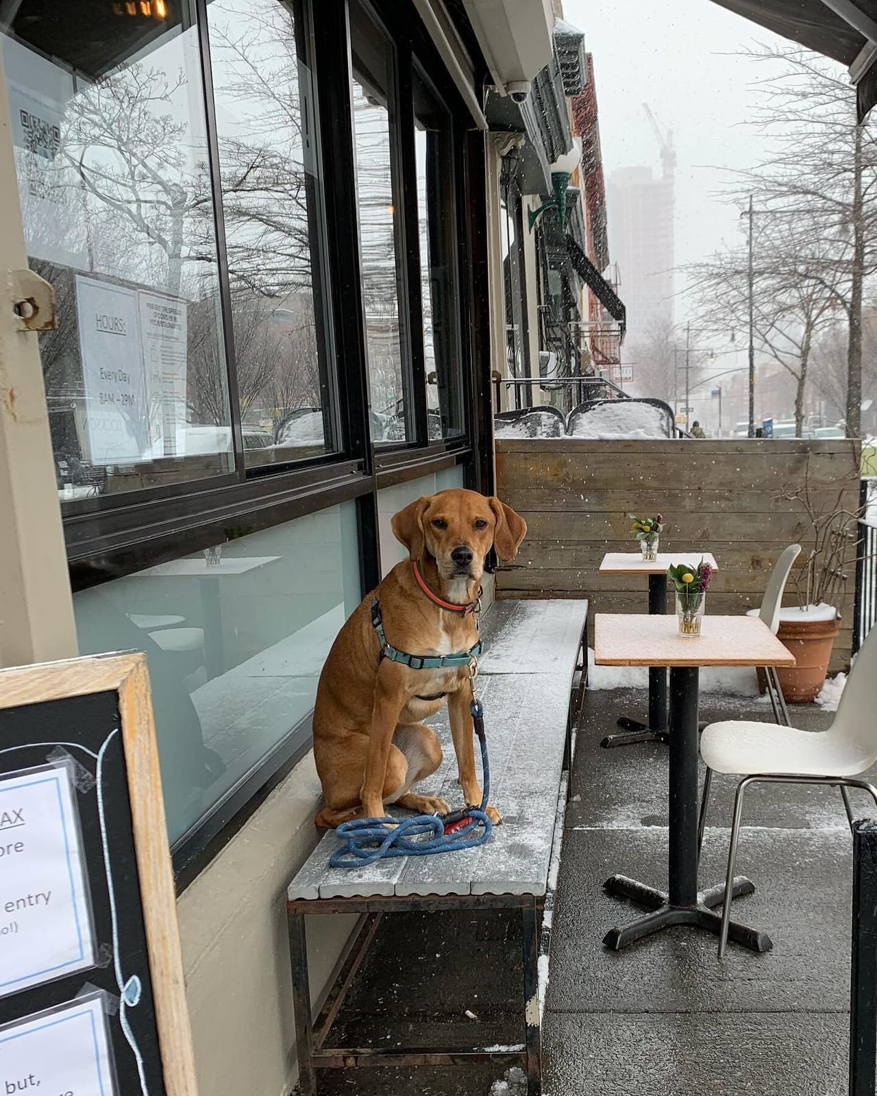 Milk Bar photo 5