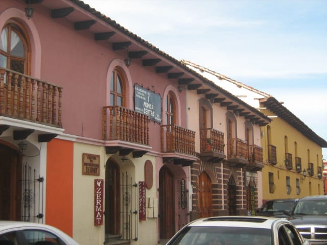Flor de café photo 4