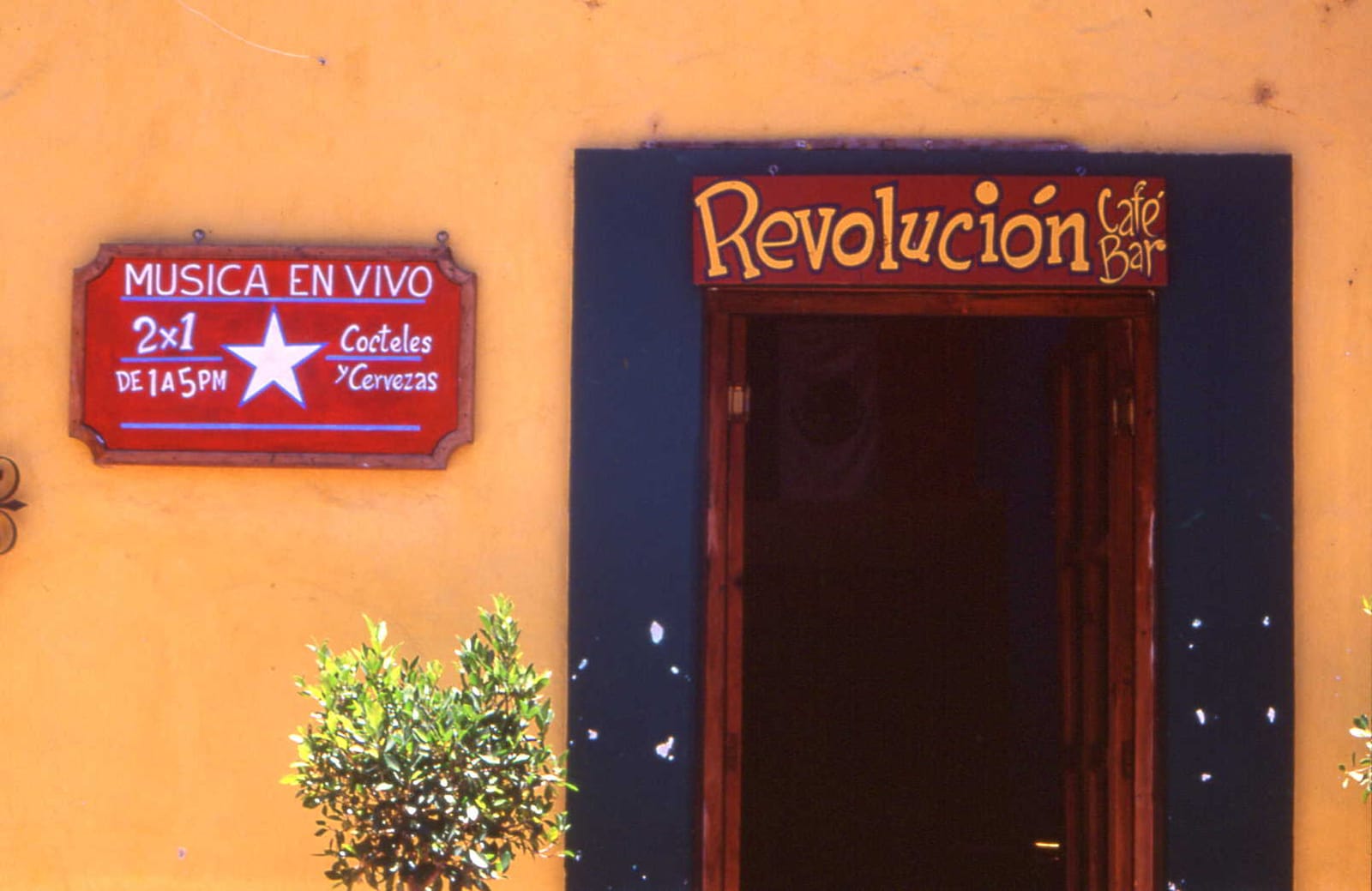 Flor de café
