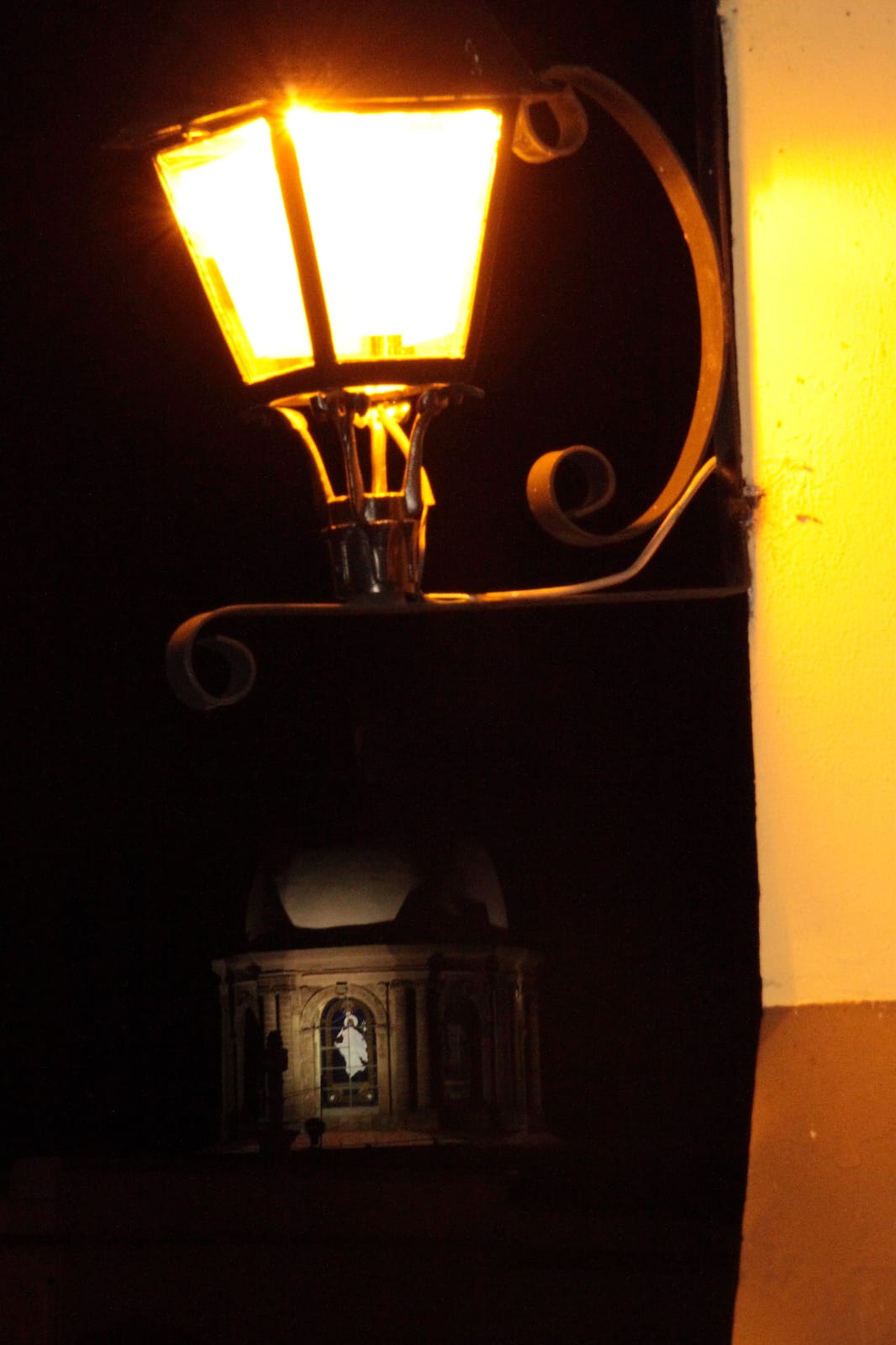 Plantemo Café photo 2