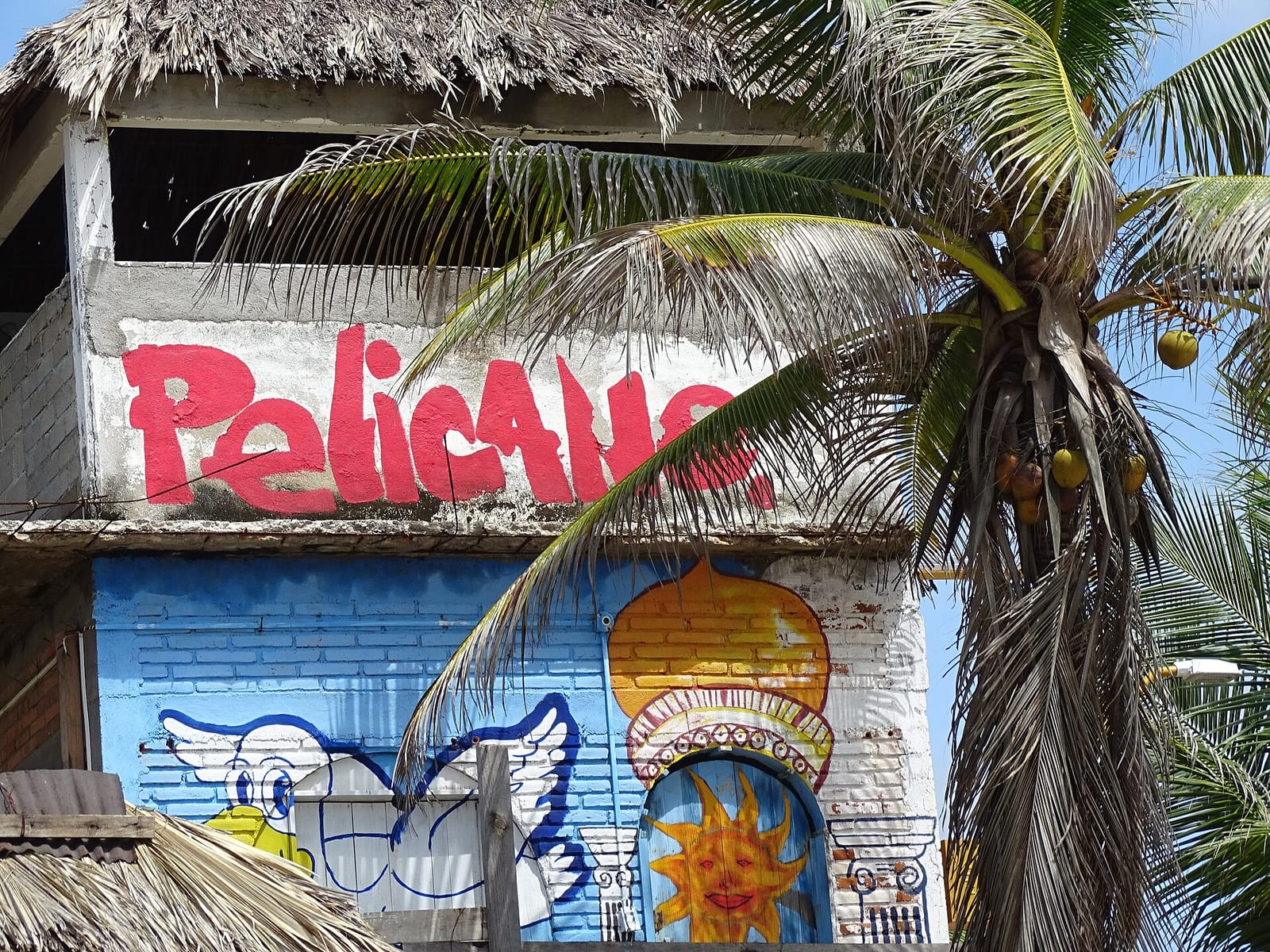 Toloache, Zipolite photo 2