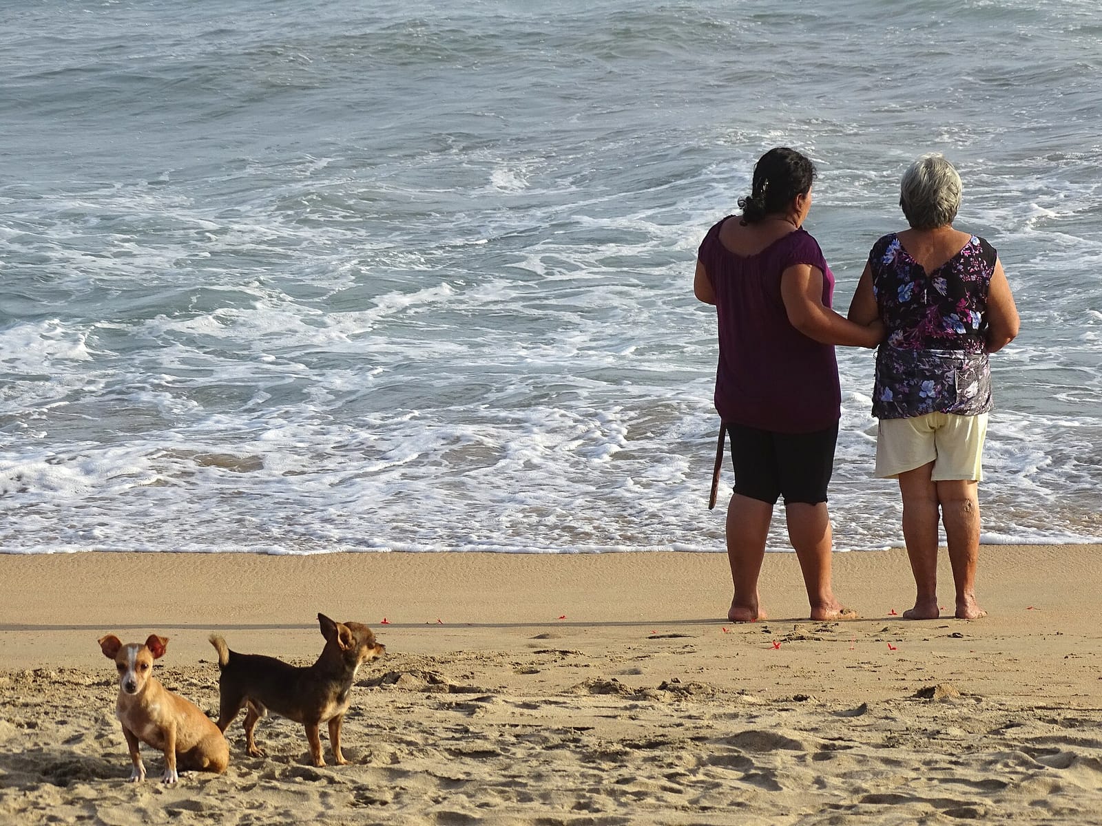 Toloache, Zipolite photo 4