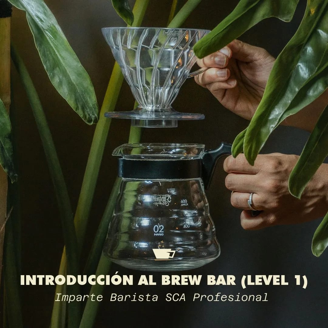 Espíritu Caféé photo 5