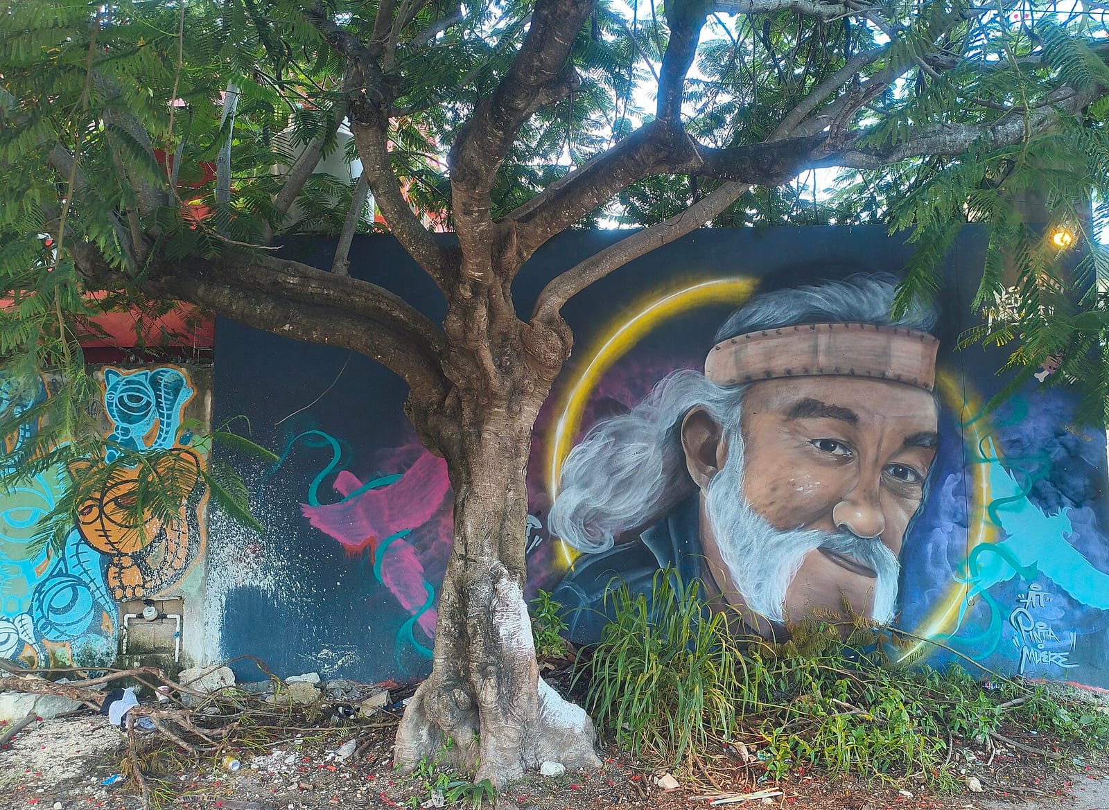 Selvaggio