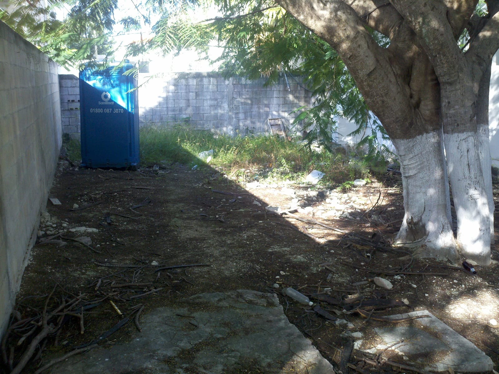 Zereno photo 2