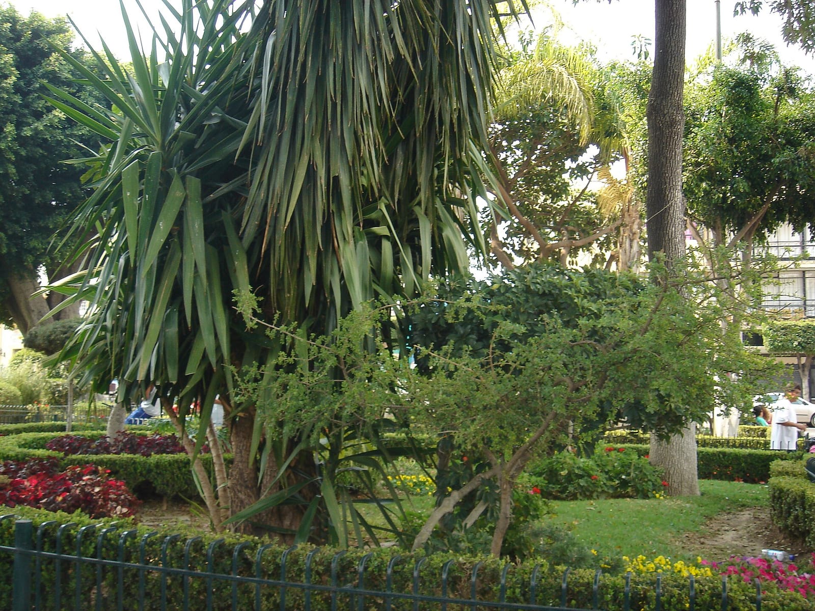 Churrería Las Duyas photo 4