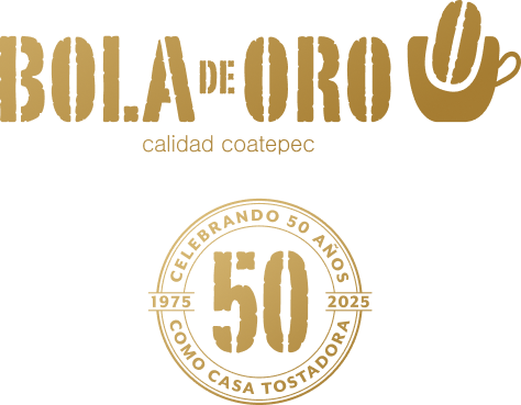 Bola de Oro Plaza Praderas photo 2
