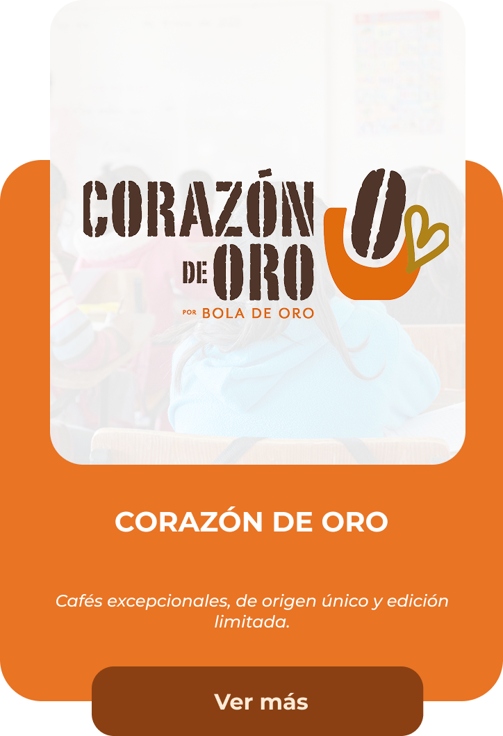 Bola de Oro Plaza Praderas photo 3