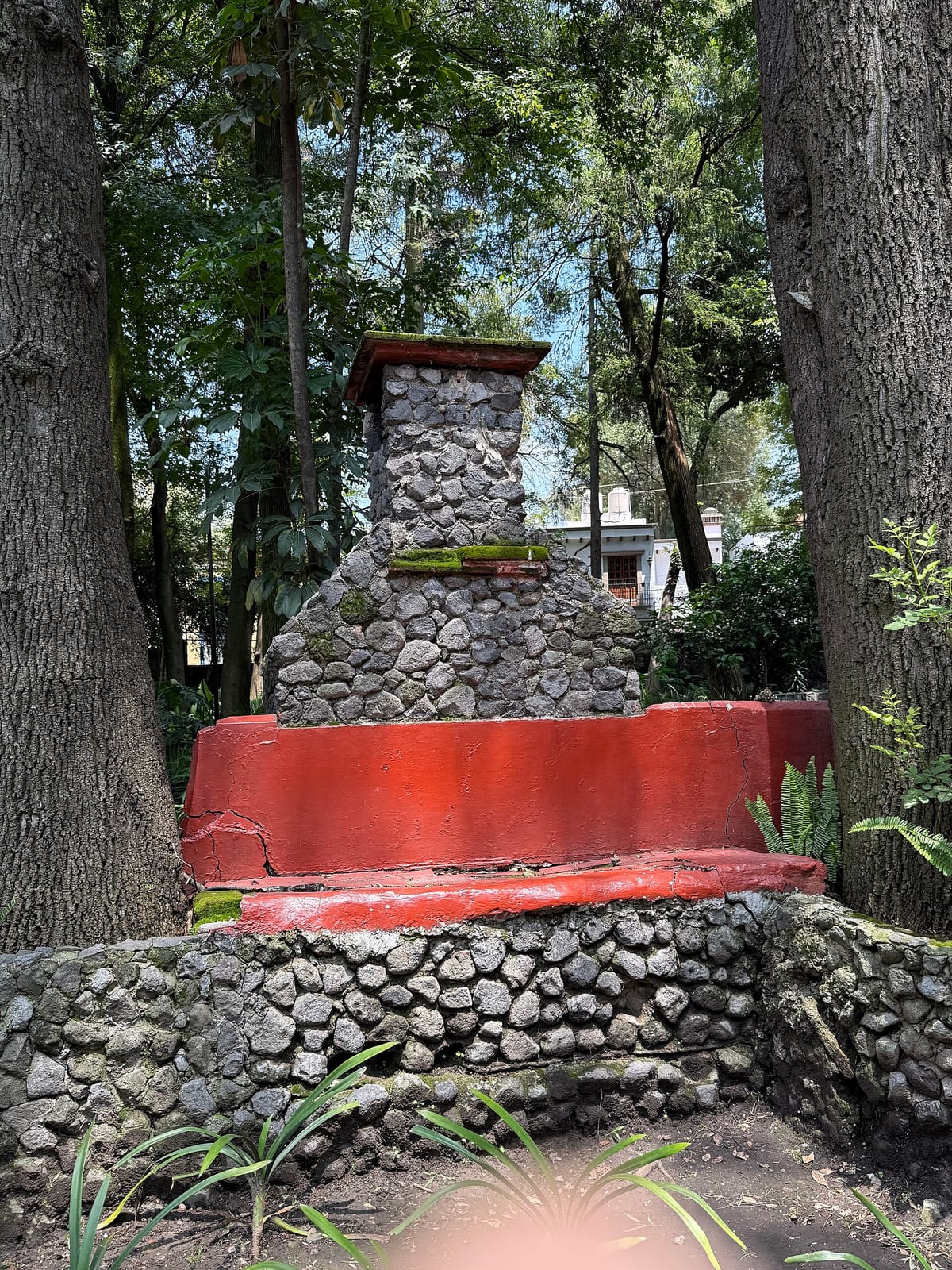 Cocoa Coyoacán II