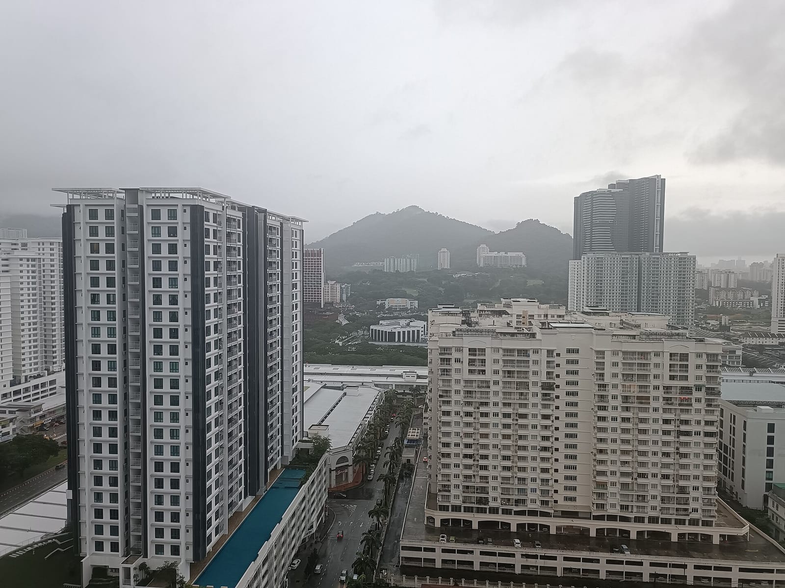 Yin's Wholefood Manufactory photo 4