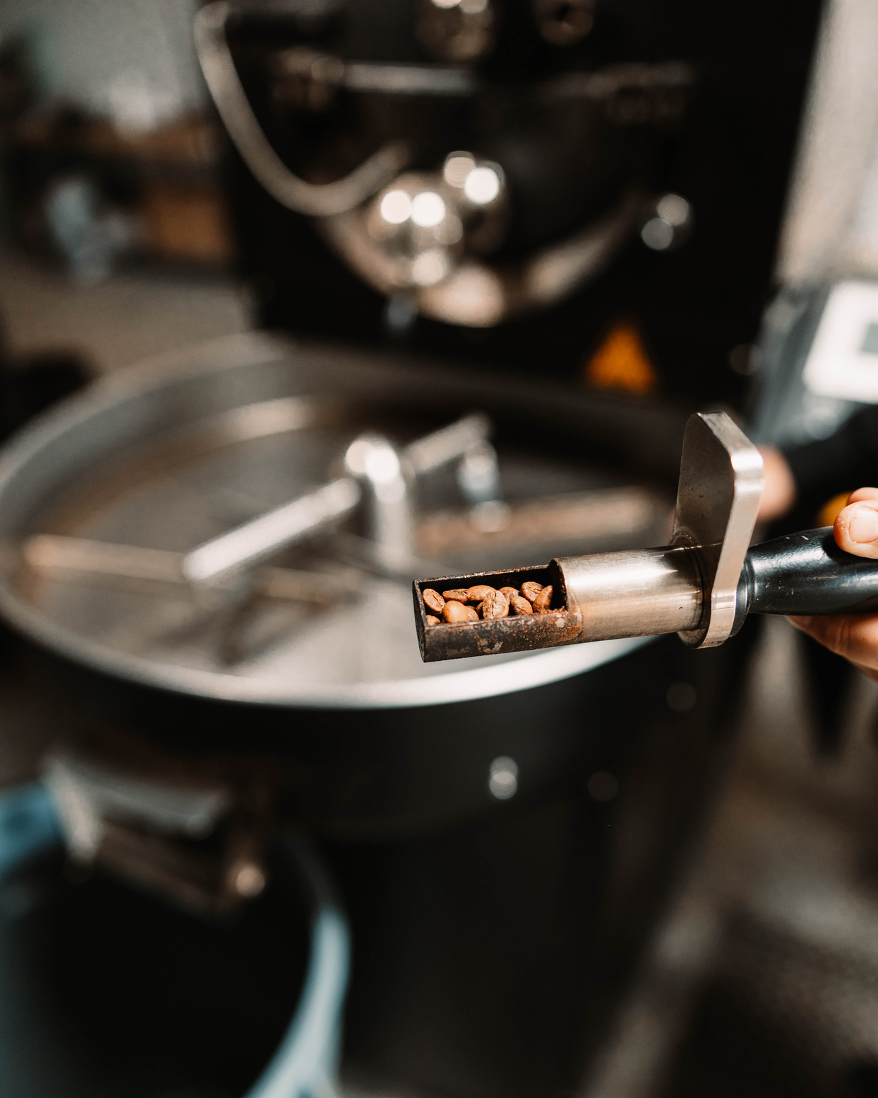 Peaks Coffee Company photo 7
