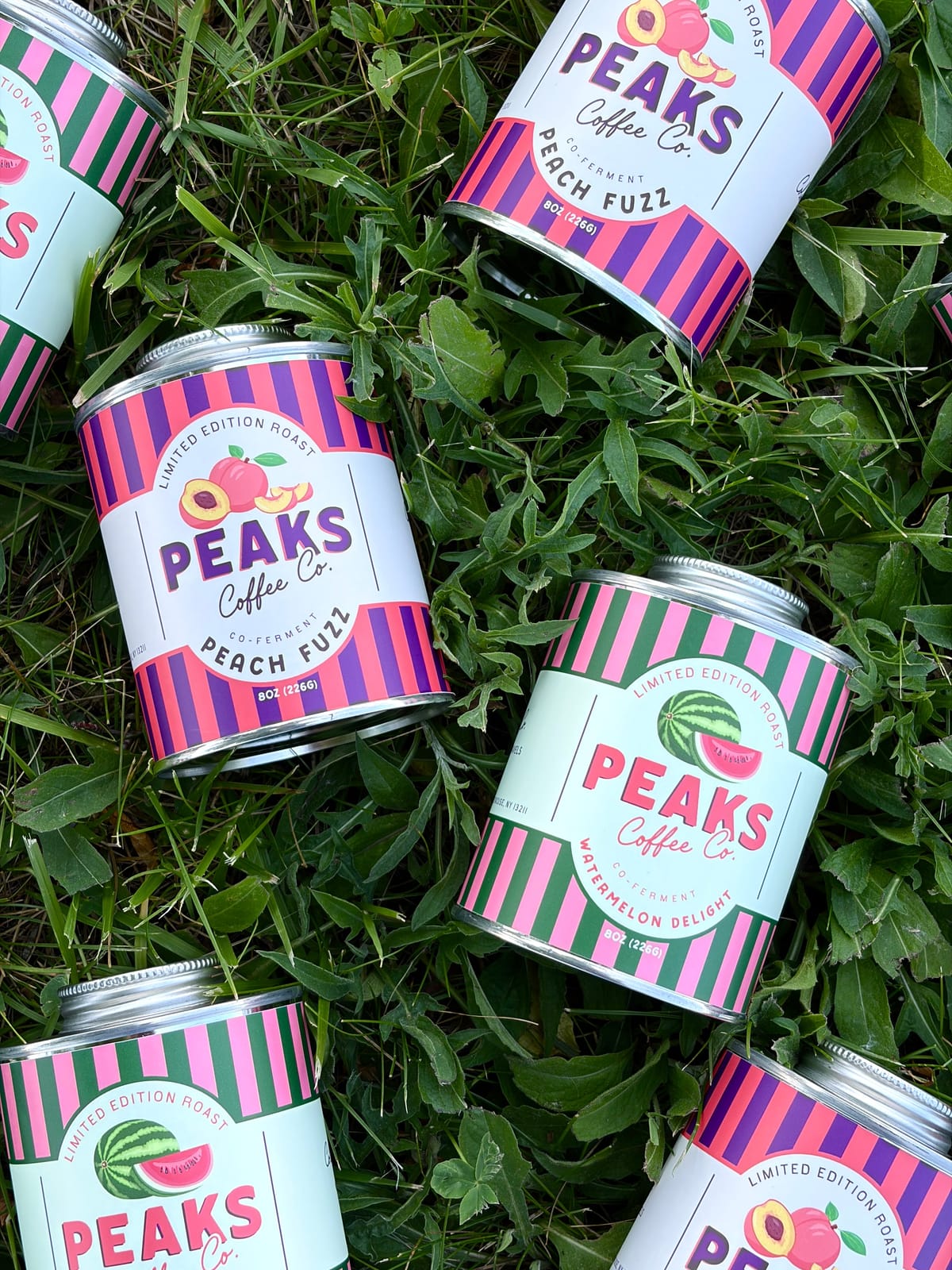 Peaks Coffee Company photo 8