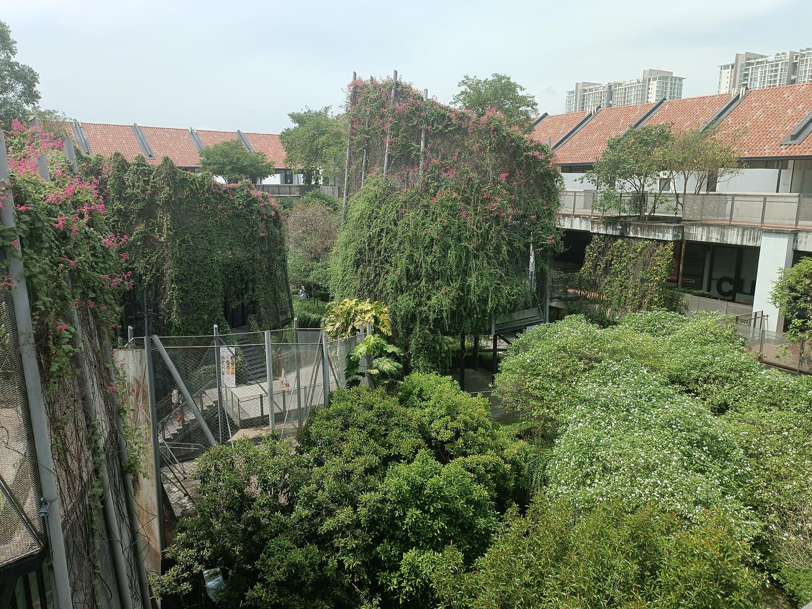 The Botanist photo 4