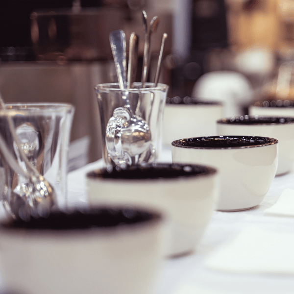 Toothless Coffee photo 3