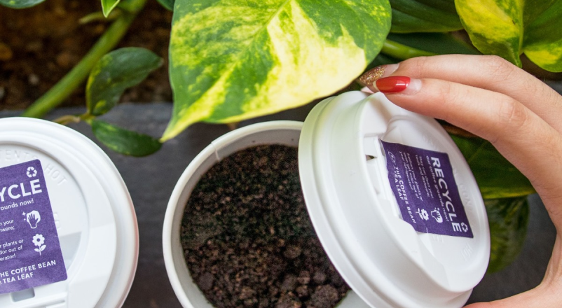 The Coffee Bean & Tea Leaf