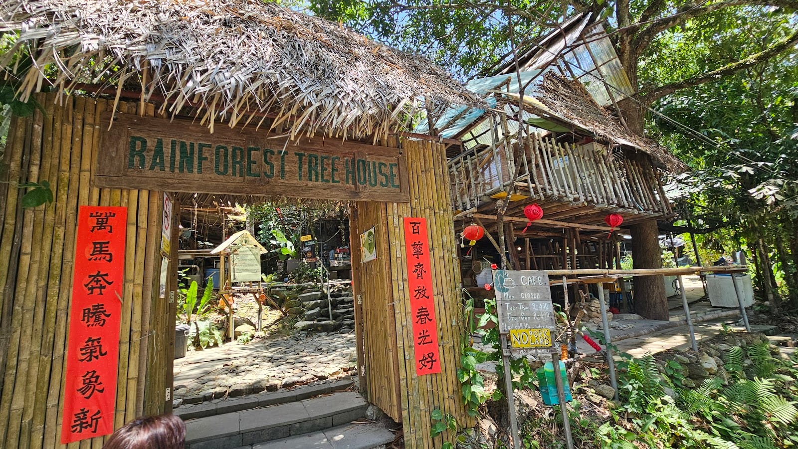 Rainforest Tree House