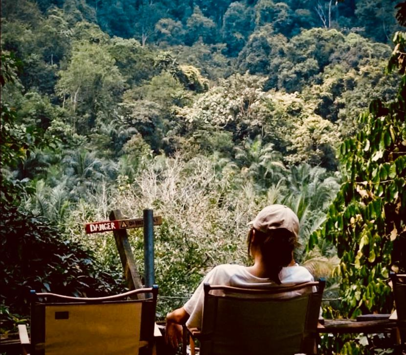 Rainforest Tree House photo 2