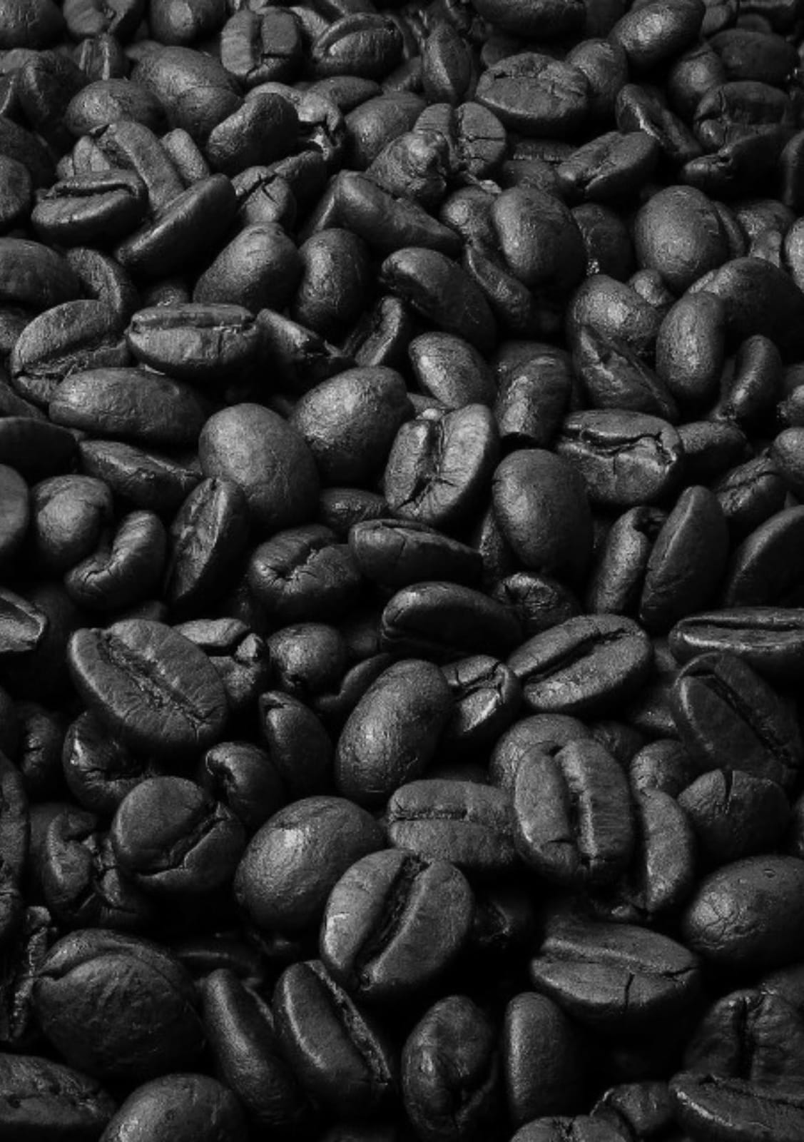 Café Sol photo 2