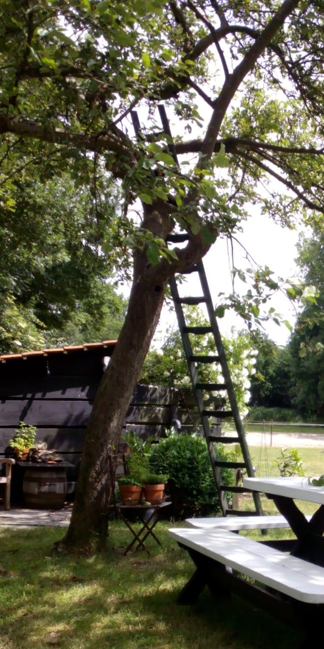 Theetuin De Mol