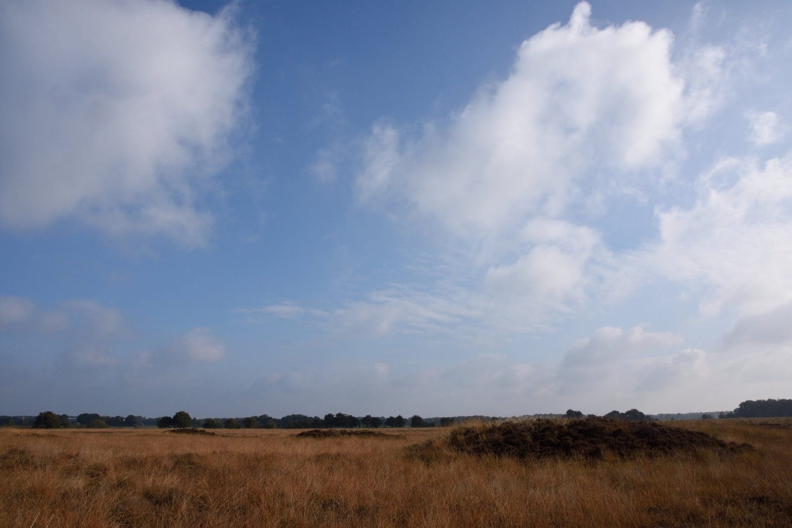 Natuurplaats Noordsche Veld photo 3