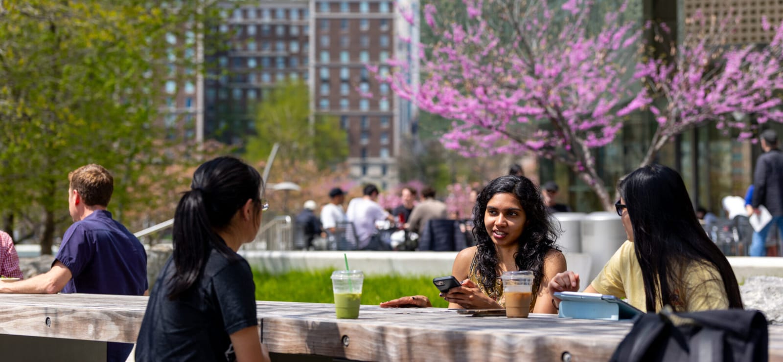 The Café @ Cornell Tech photo 3