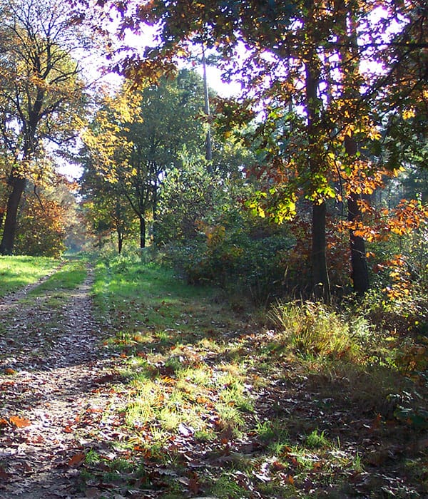eetcafe "Aan de Grens" photo 3