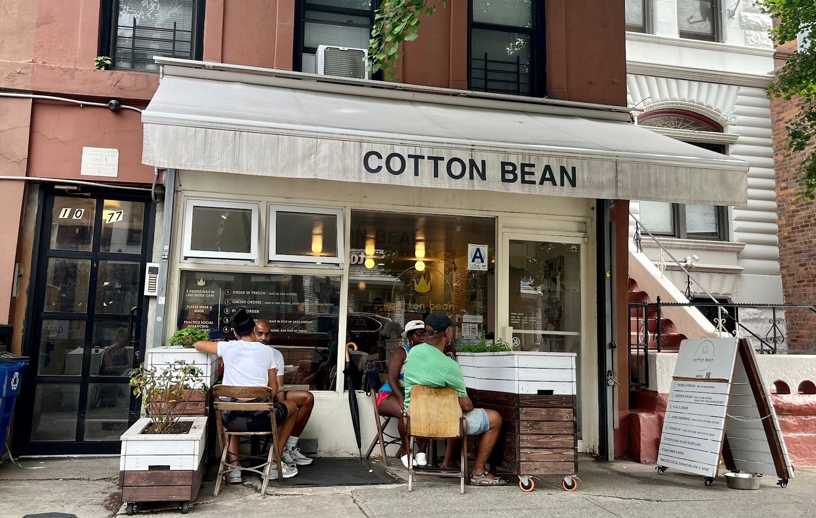 Cotton Bean