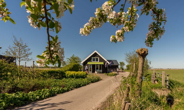Theehuis de Dille photo 3