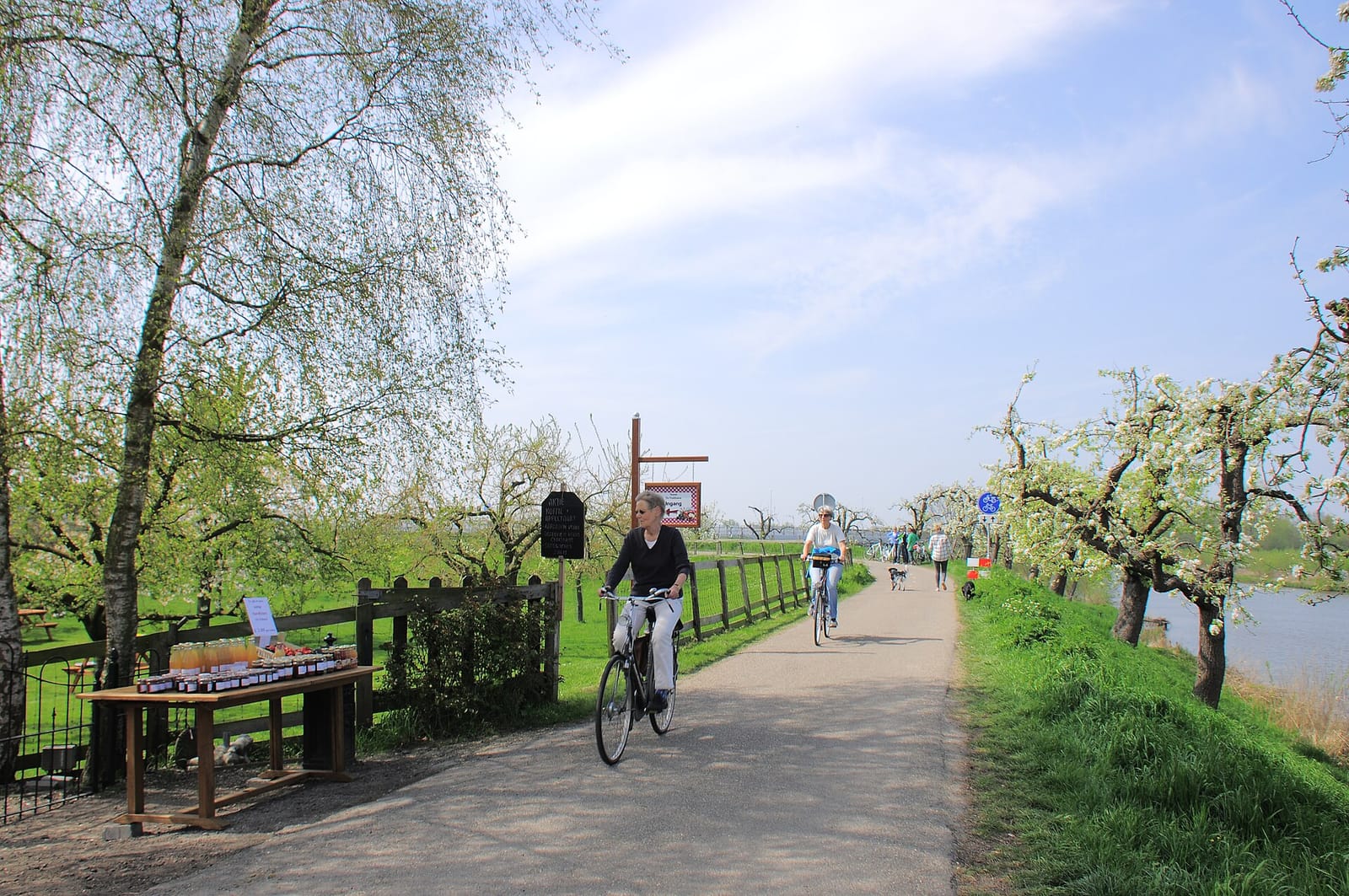 Theetuin de Fruithoeve
