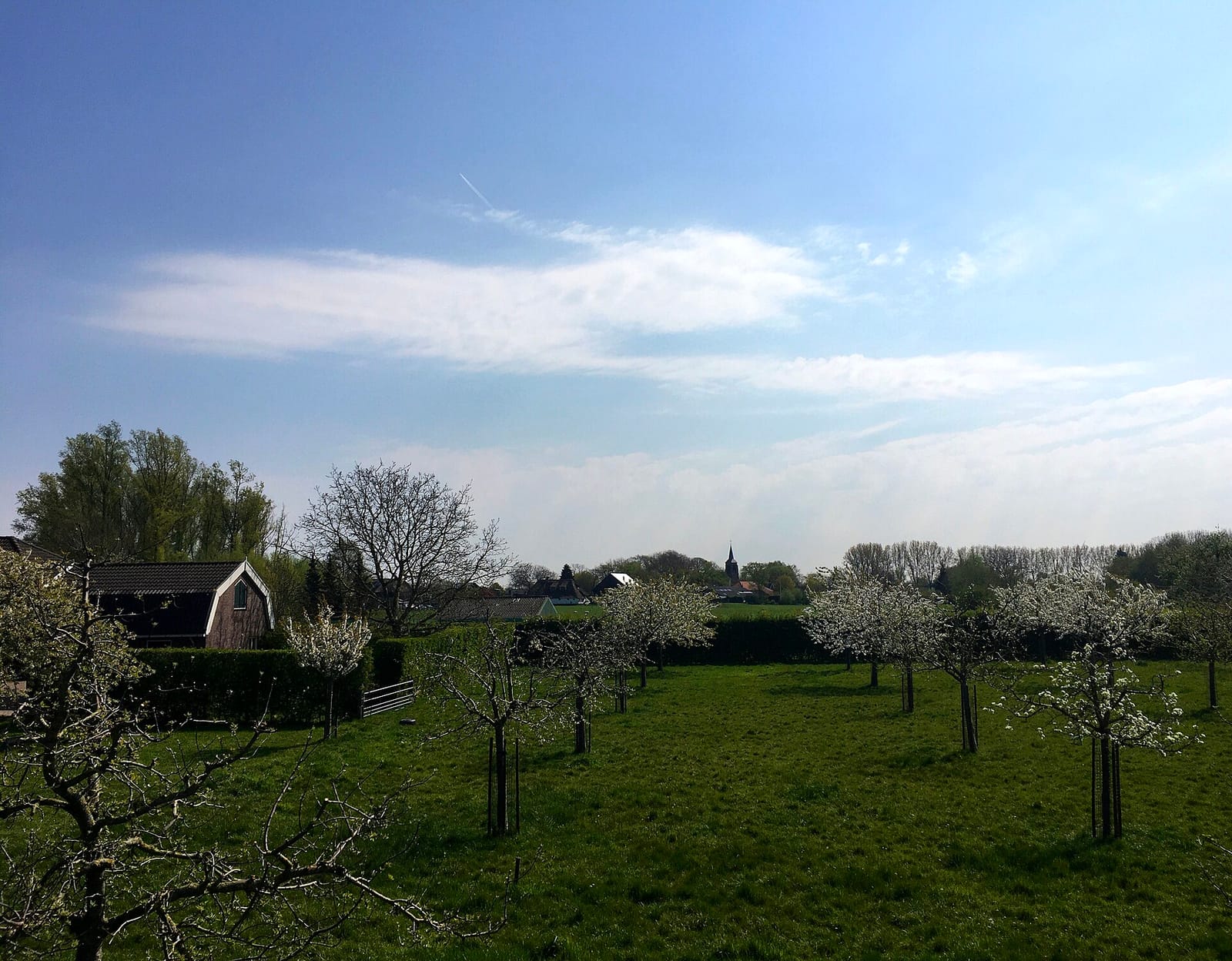 Theetuin de Fruithoeve photo 2