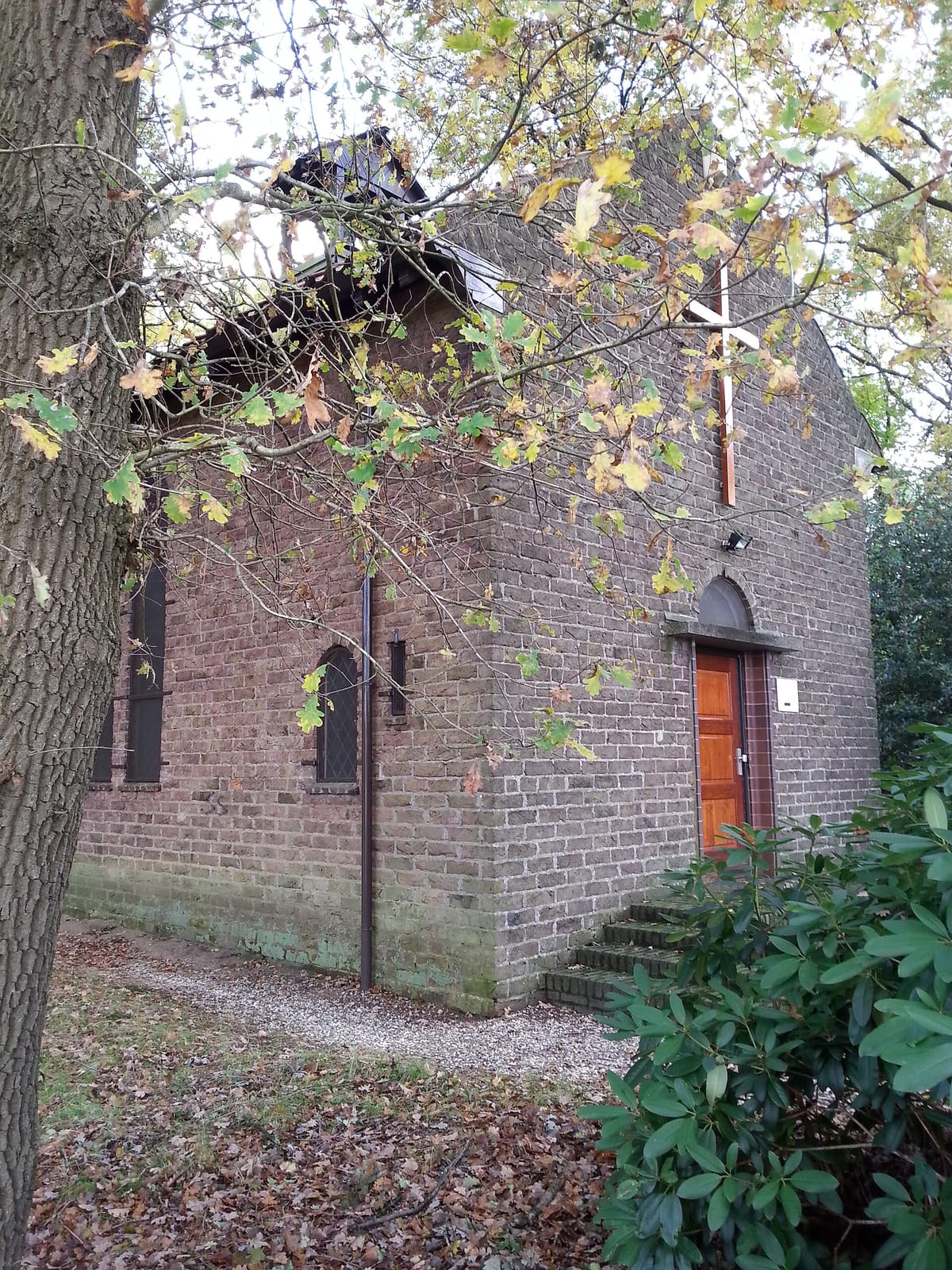 Koek Van Nouk photo 5