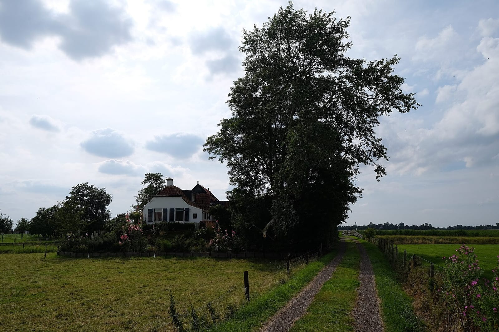 Cafe De Brug photo 4