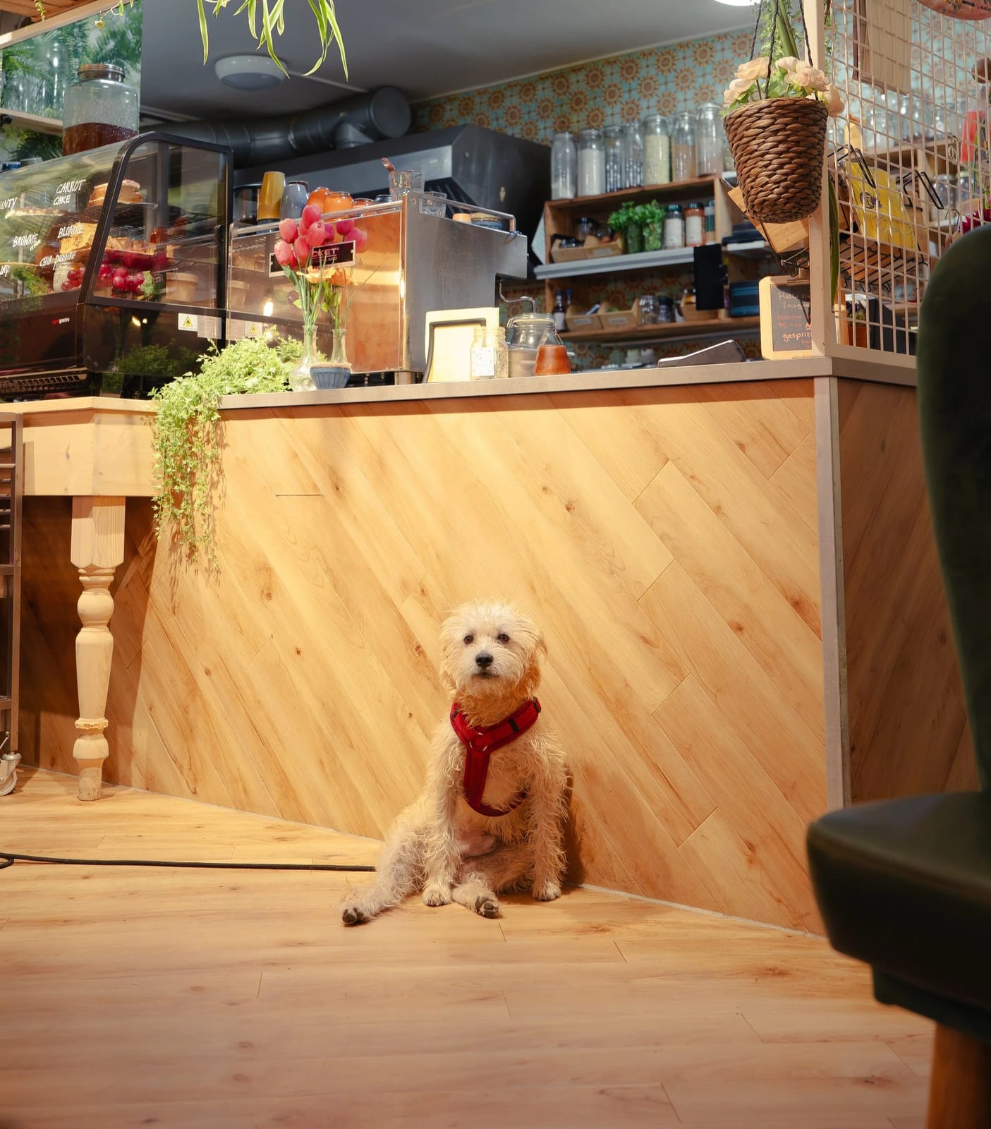 Feel Good photo 9