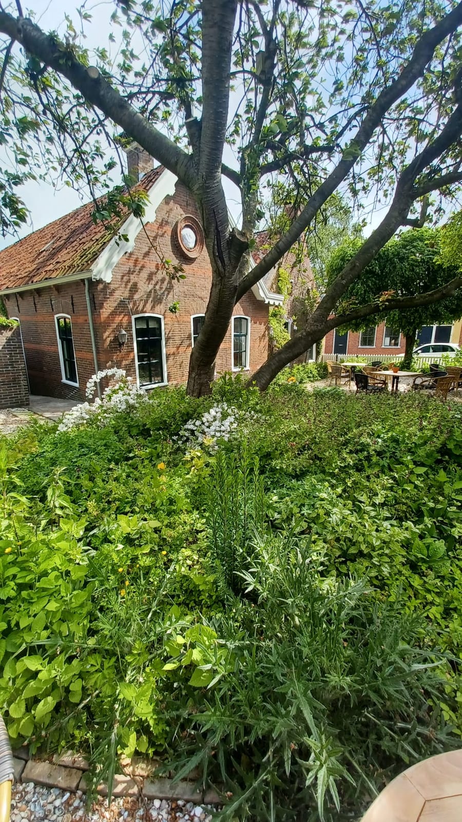 Theehuis en Bakkerijmuseum Mendels photo 3