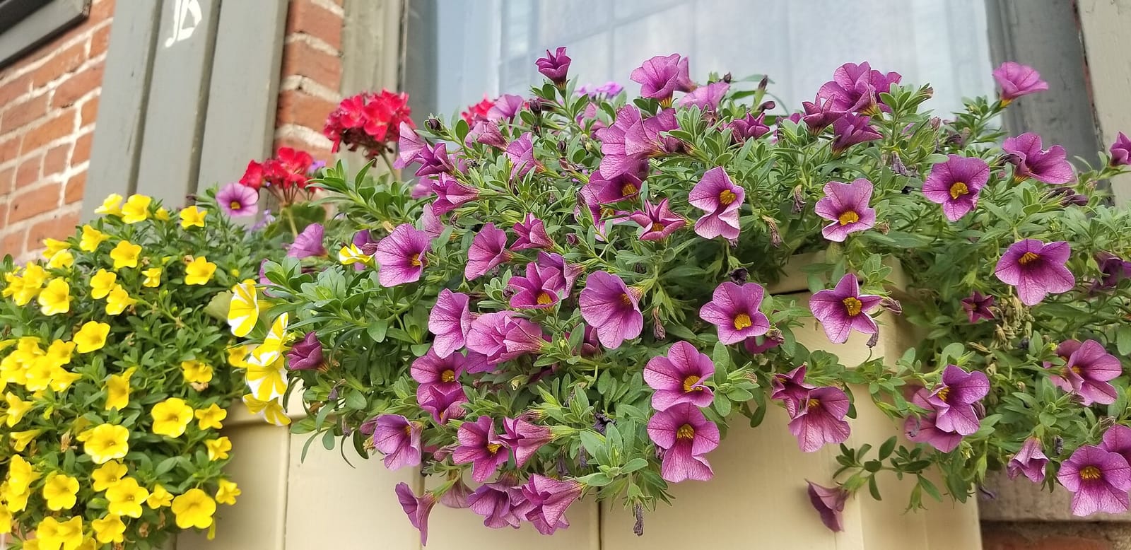 House of Commons