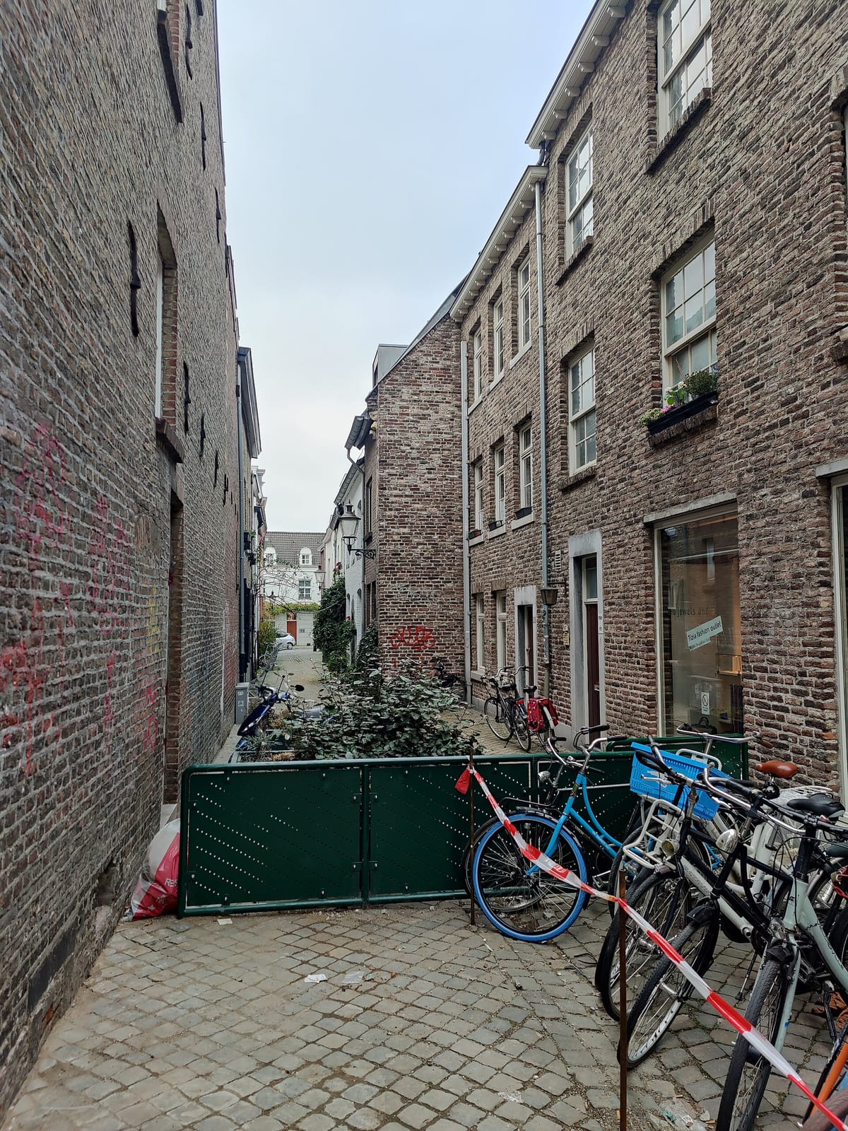 Zondag photo 4