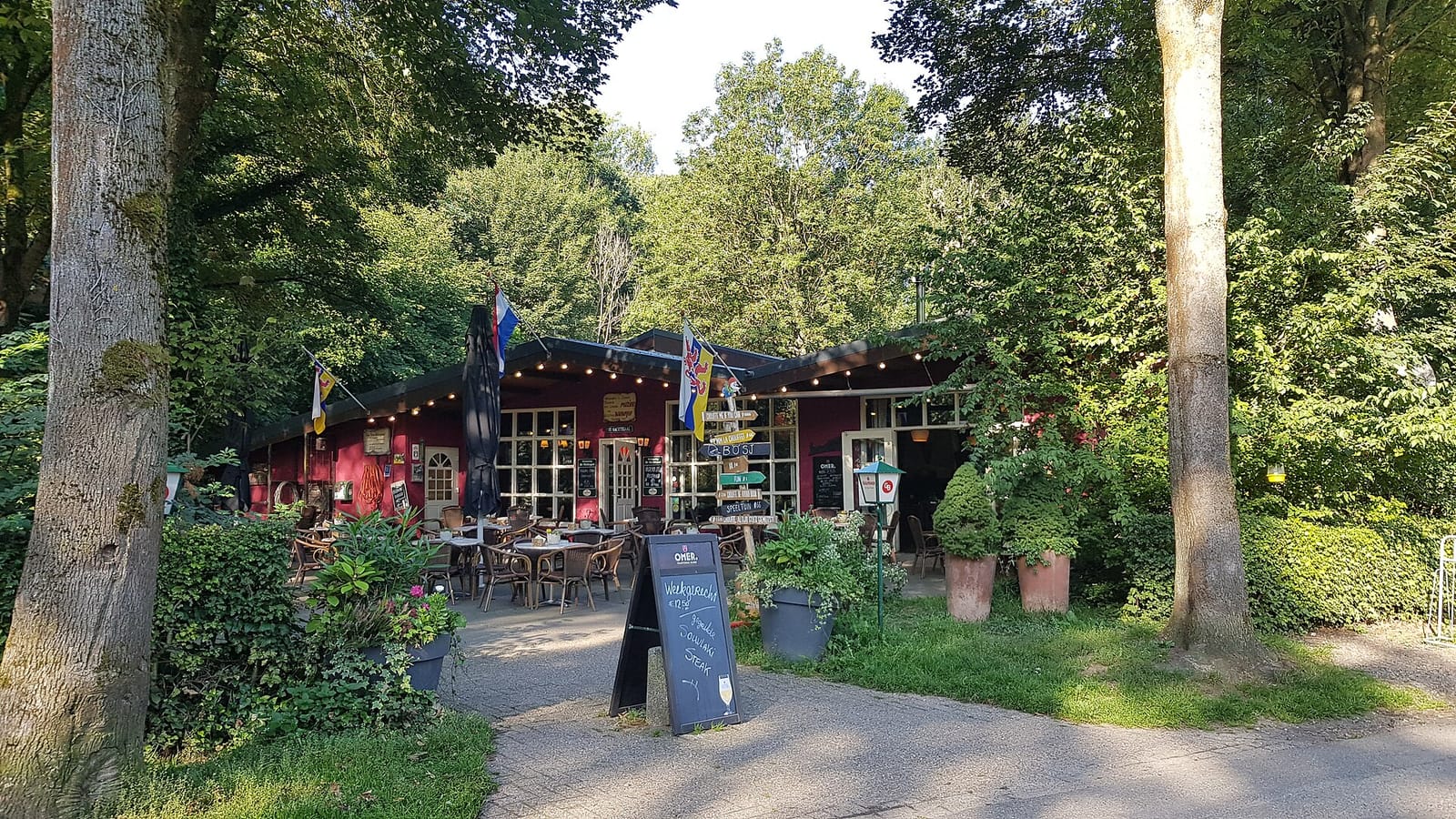 De Nachtegaal photo 4