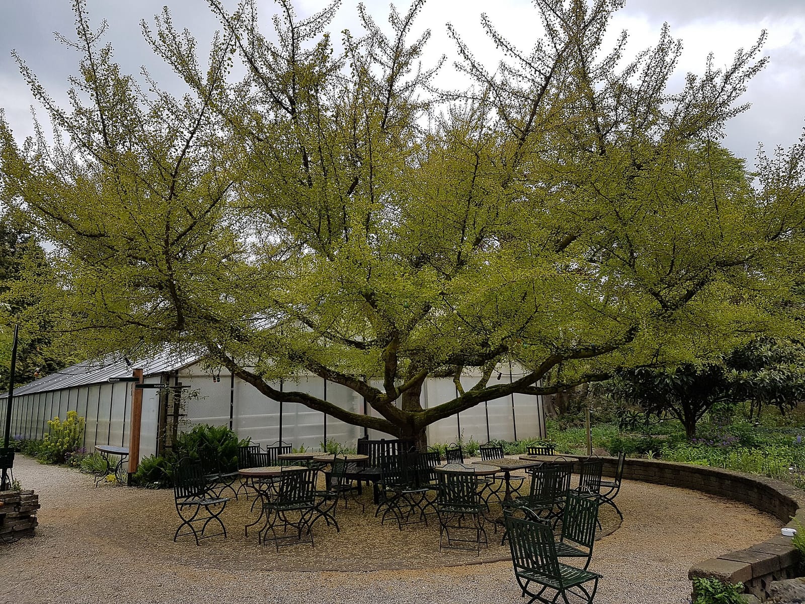 Grand Café