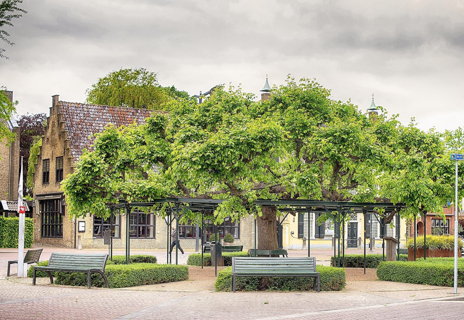 De Moeierboom